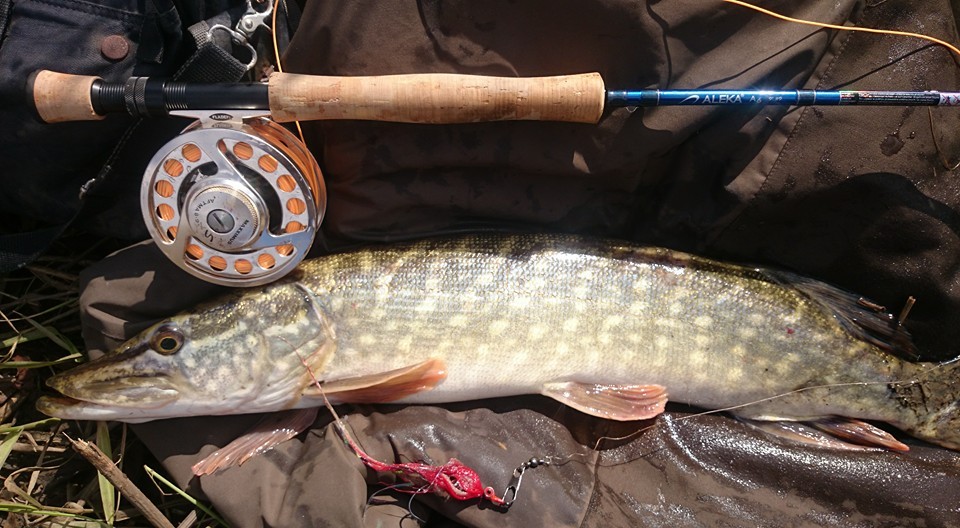 long range plaice fishing tails