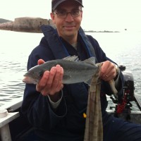 Fishing forecast for Chesil Beach, Portland & Weymouth. June 13th 2012