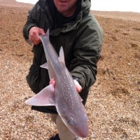 Fishing forecast for Chesil Beach, Portland & Weymouth. 1st August 2012