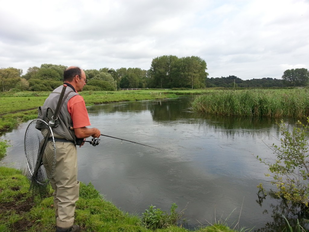 A day on the River Frome