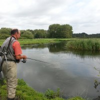 A day on the River Frome