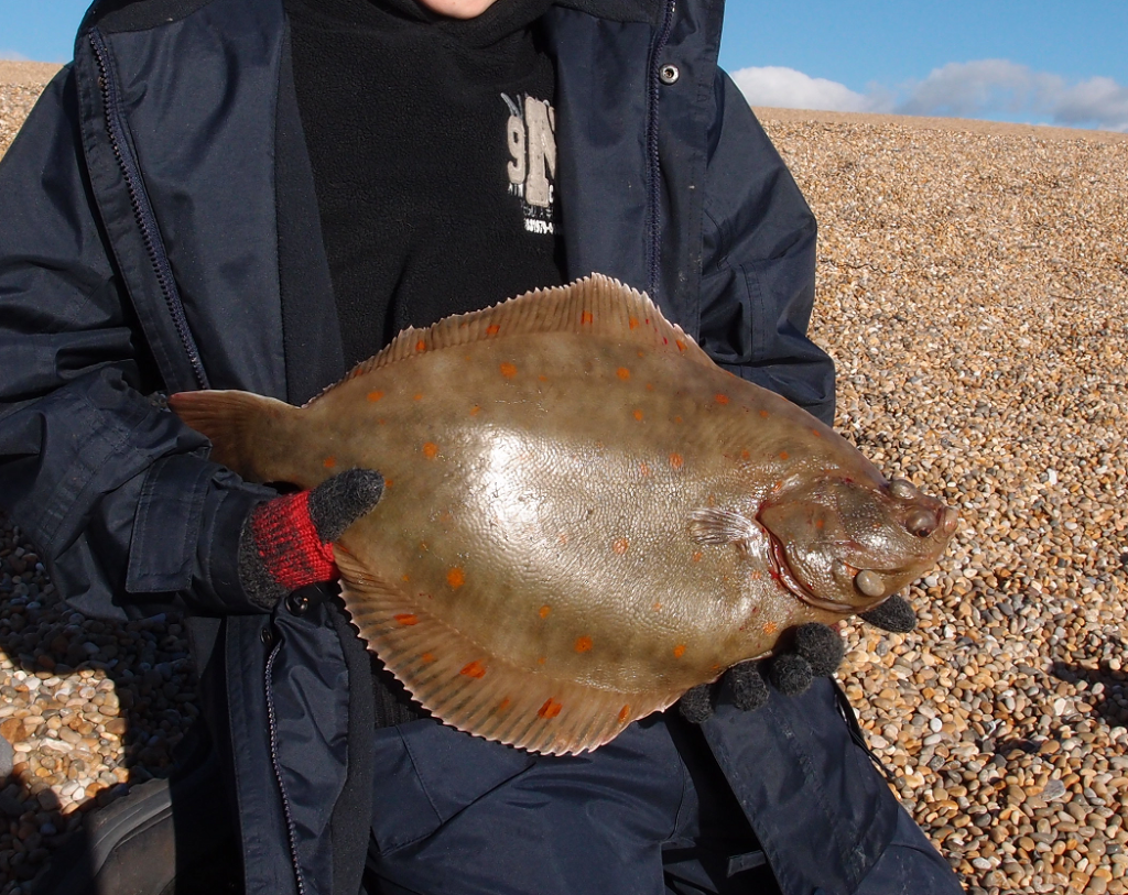 Sole & Plaice fishing on Chesil in winter