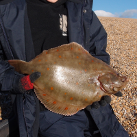 Sole & Plaice fishing on Chesil in winter