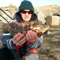 Fishing forecast for Chesil Beach, Portland & Weymouth. 12th December 2012