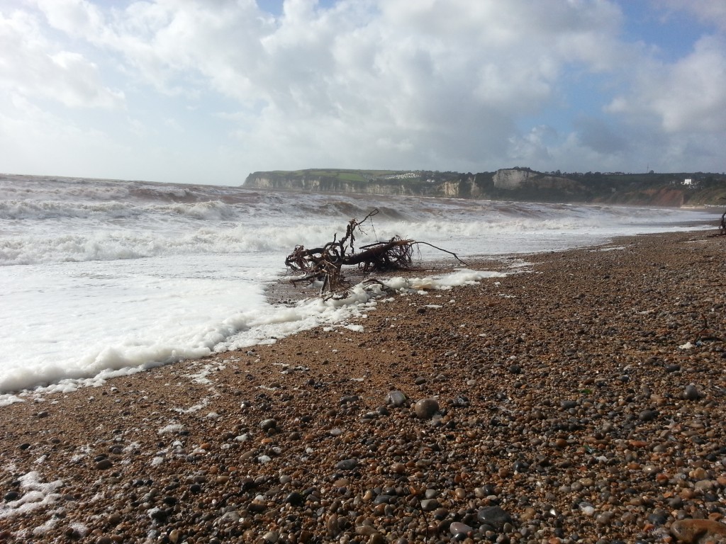 Catch report & fishing forecast for Dorset including Chesil Beach, Portland & Weymouth