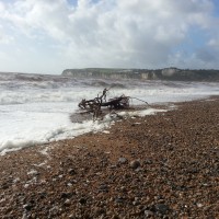 Catch report & fishing forecast for Dorset including Chesil Beach, Portland & Weymouth. 2nd January 2013