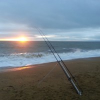 Catch report & fishing forecast for Dorset including Chesil Beach, Portland & Weymouth