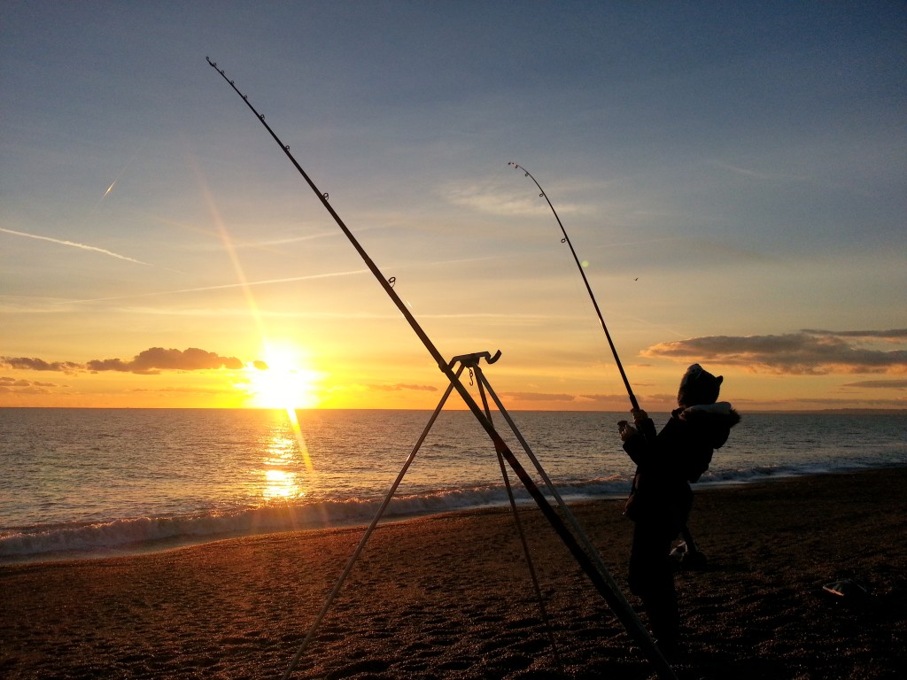 Catch report & fishing forecast for Dorset including Chesil Beach, Portland & Weymouth