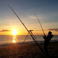 Catch report & fishing forecast for Dorset including Chesil Beach, Portland & Weymouth