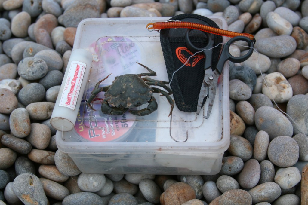 How to hook and rig Peeler Crabs