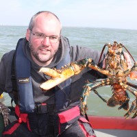 Catch report & fishing forecast for Dorset including Chesil Beach, Portland & Weymouth