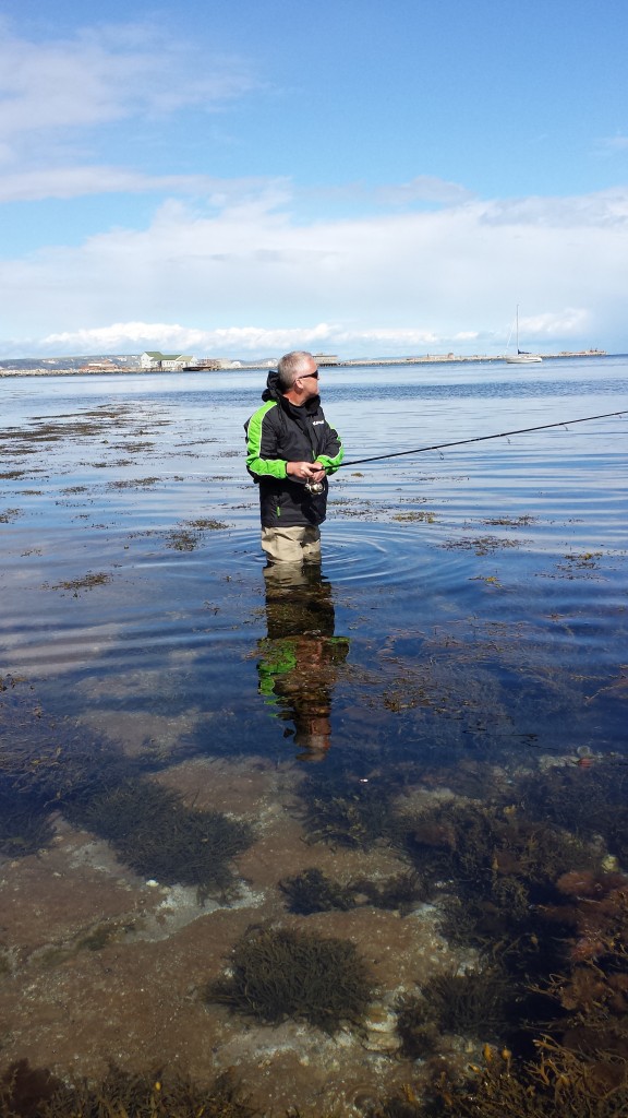 Catch report & fishing forecast for Dorset including Chesil Beach, Portland & Weymouth