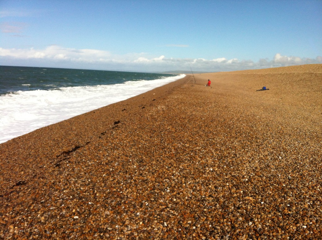 Catch report & fishing forecast for Dorset including Chesil Beach, Portland & Weymouth