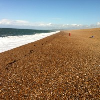 Catch report & fishing forecast for Dorset including Chesil Beach, Portland & Weymouth