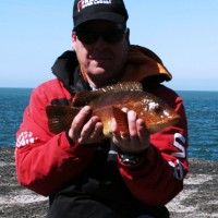 Catch report & fishing forecast for Dorset including Chesil Beach, Portland & Weymouth