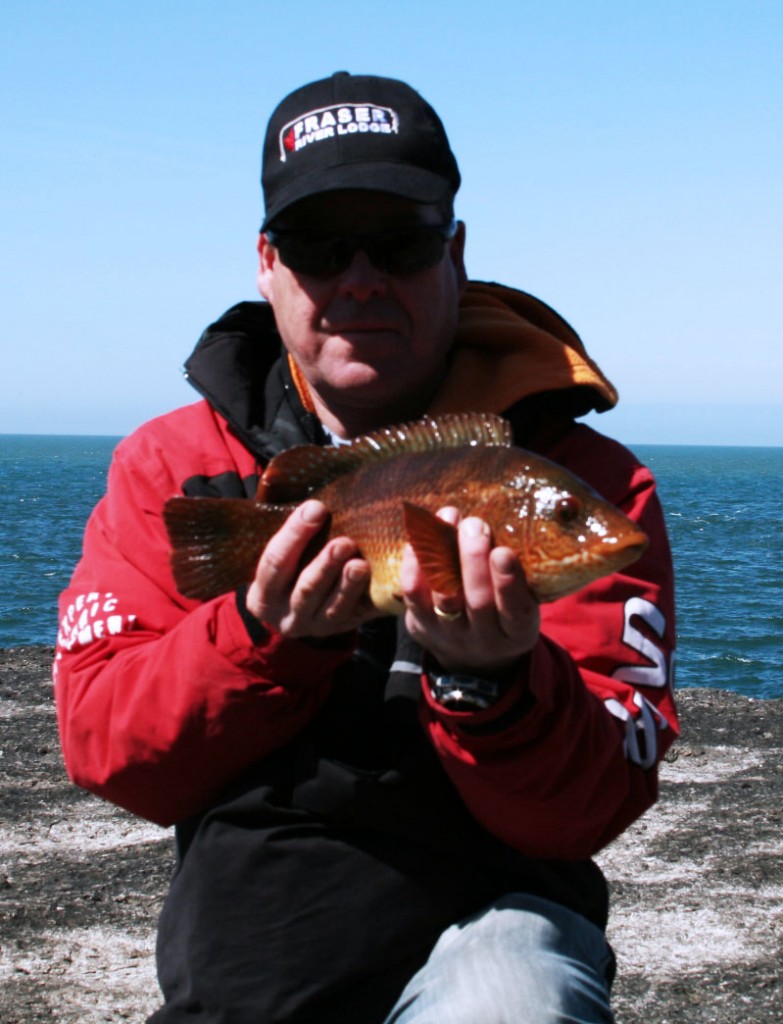 Catch report & fishing forecast for Dorset including Chesil Beach, Portland & Weymouth