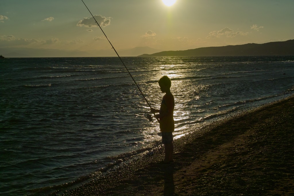 Catch report & fishing forecast for Dorset including Chesil Beach, Portland & Weymouth