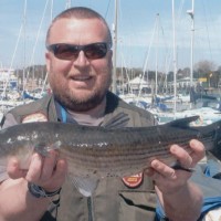 Catch report & fishing forecast for Dorset including Chesil Beach, Portland & Weymouth