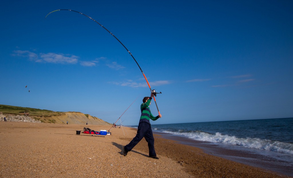 Catch report & fishing forecast for Dorset including Chesil Beach, Portland & Weymouth