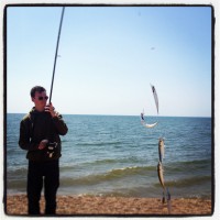 Catch report & fishing forecast for Dorset including Chesil Beach, Portland & Weymouth