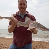 Catch report & fishing forecast for Dorset including Chesil Beach, Portland & Weymouth