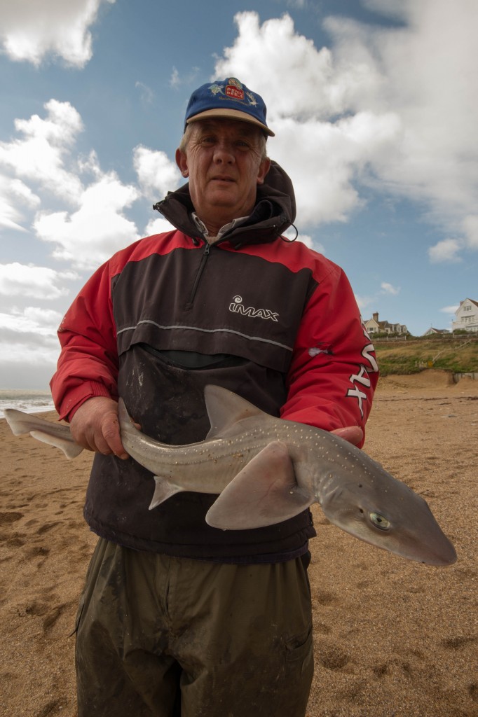 Catch report & fishing forecast for Dorset including Chesil Beach, Portland & Weymouth