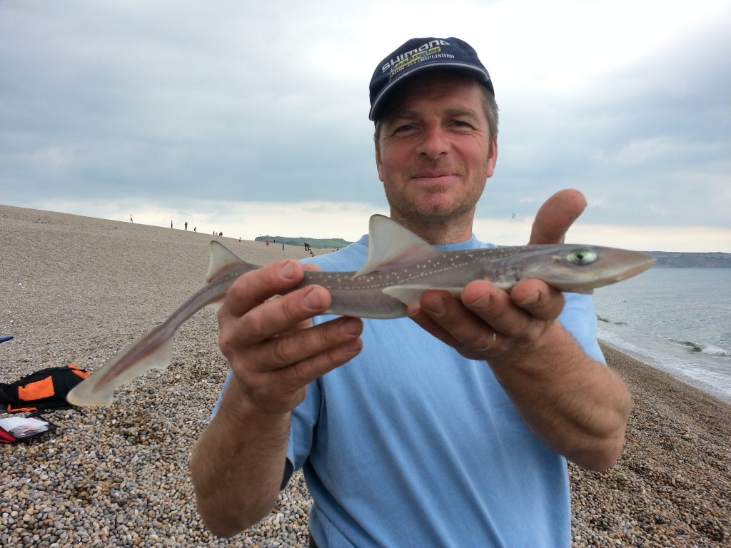 Catch report & fishing forecast for Dorset including Chesil Beach, Portland & Weymouth