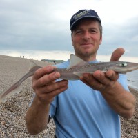 Catch report & fishing forecast for Dorset including Chesil Beach, Portland & Weymouth