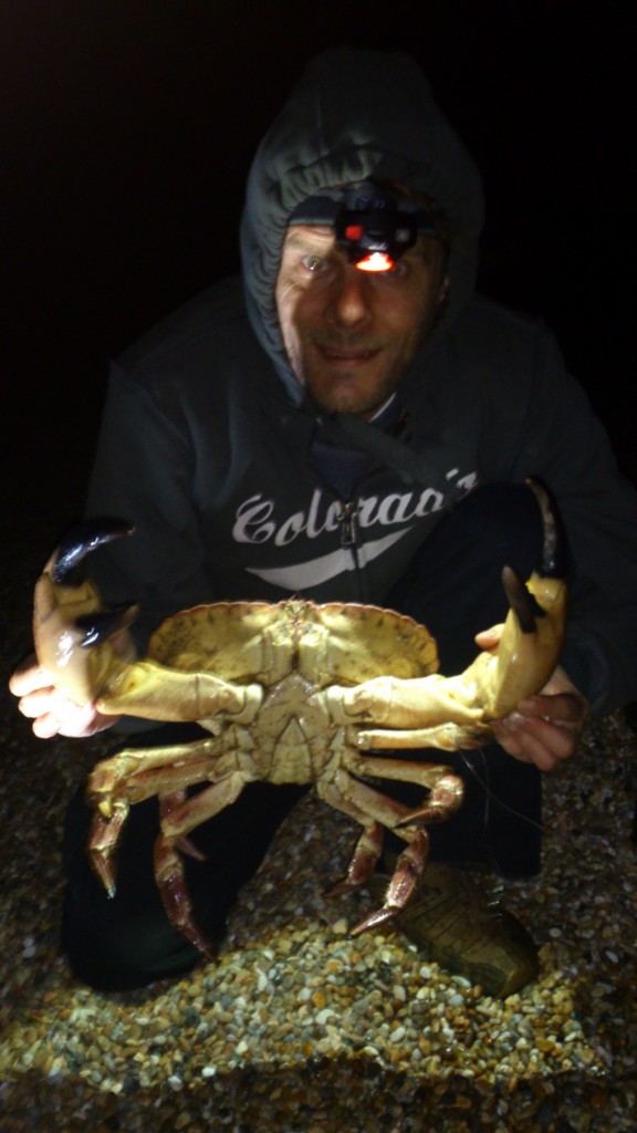 crab