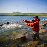 Catch report & fishing forecast for Dorset including Chesil Beach, Portland & Weymouth