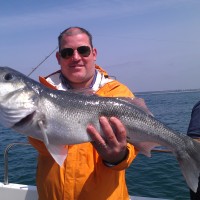 Catch report & fishing forecast for Dorset including Chesil Beach, Portland & Weymouth