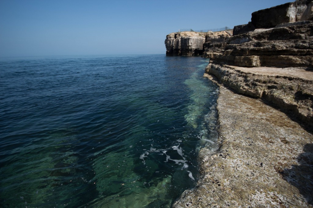 Catch report & fishing forecast for Dorset including Chesil Beach, Portland & Weymouth