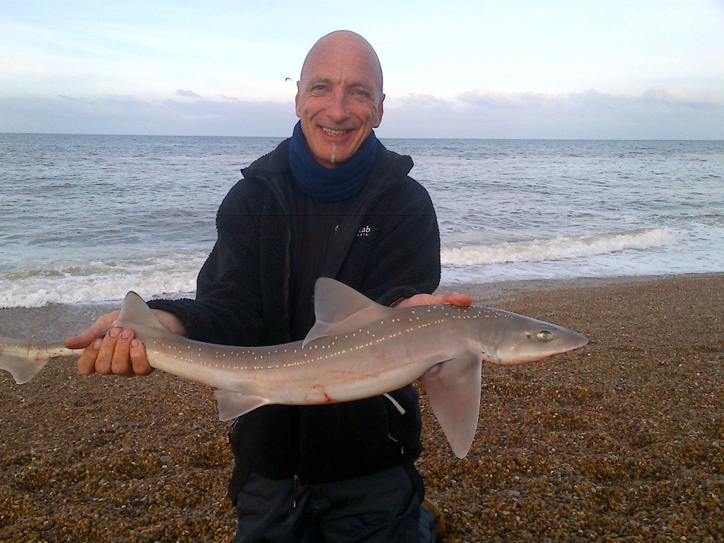 Smoothhound Chesil Beach June