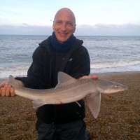 Catch report & fishing forecast for Dorset including Chesil Beach, Portland & Weymouth