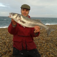 Catch report & fishing forecast for Dorset including Chesil Beach, Portland & Weymouth