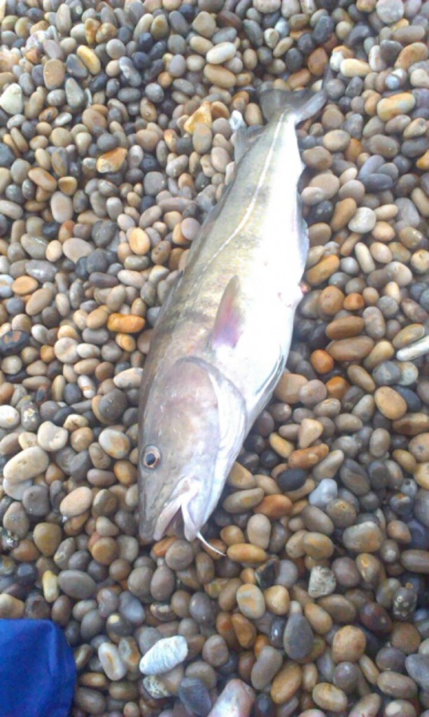 Will I be able to fish Chesil beach today?