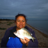 Catch report & fishing forecast for Stokes Bay in the Solent