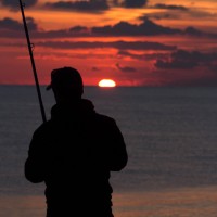 Catch report & fishing forecast for Dorset including Chesil Beach, Portland & Weymouth