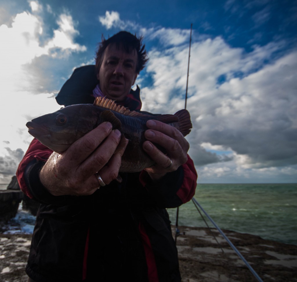 Wrasse fishing 2