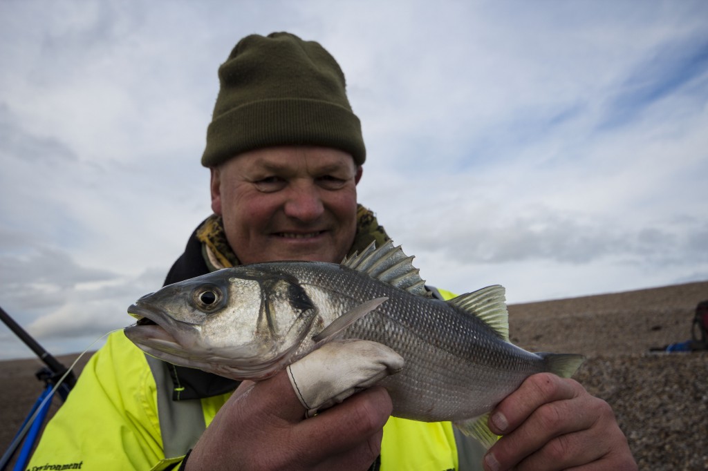 Where are the Cod? The Sprats are in, has this affected the fishing?