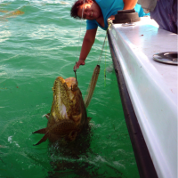 Fishing the Florida Keys