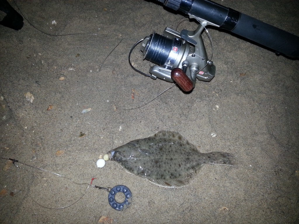 Flounder