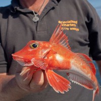 Fishing Photography: Photographing your catch