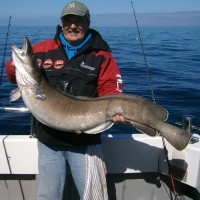 Fantastic boat and kayak fishing in Dorset, Devon and Hampshire