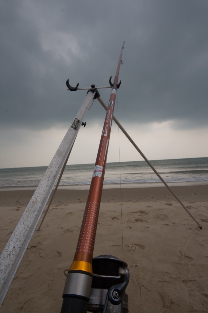 Cinnetic Cautiva hybrid flexi tip surf rod review