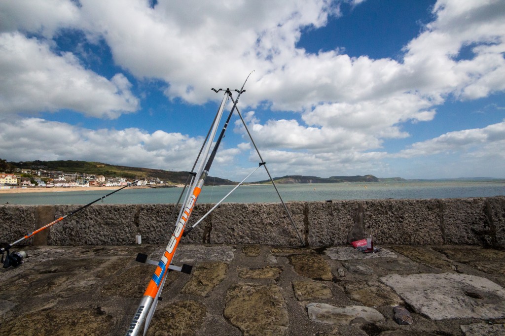 Lyme Regis north wall-2