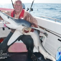 Blue Shark fishing