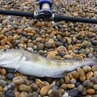 Is chesil Beach going to be fishable? Updated 10.30am Sunday