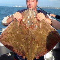 The best sea fishing in the UK has to be around Portland & Weymouth