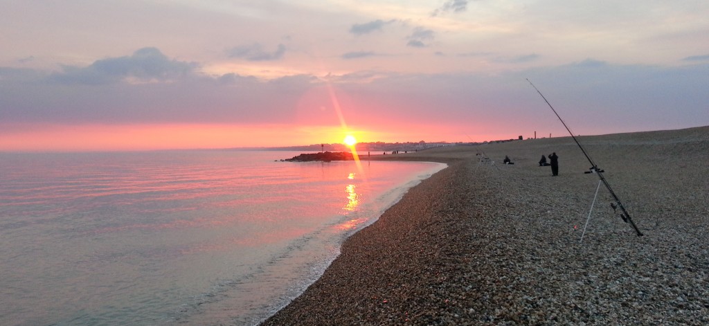 Milford Shingle Bank Report